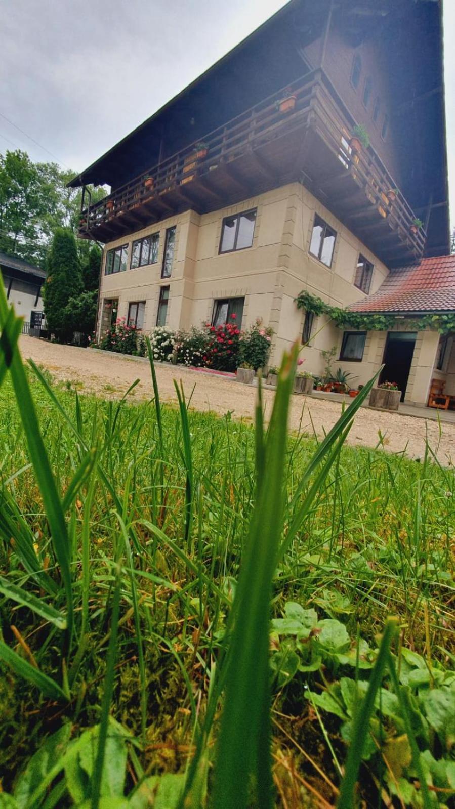 Pensiunea Belvedere Bran  Exterior photo