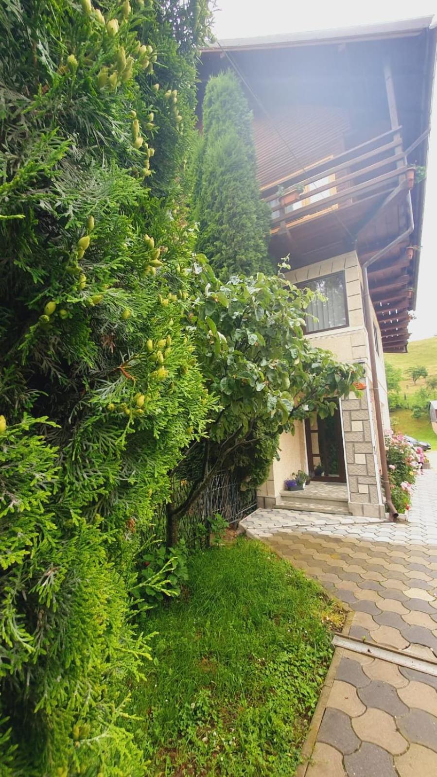 Pensiunea Belvedere Bran  Exterior photo